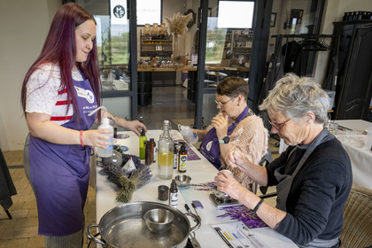 France (30), Gard, Bellegarde, ferme de plantes aromatiques Un Mas en Provence, fabrication de cosmétiques aux huiles essentielles bio de lavande