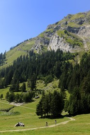 Switzerland, canton of Vaud, Villars-sur-Ollon, Solalex valley in the Muverans natural park