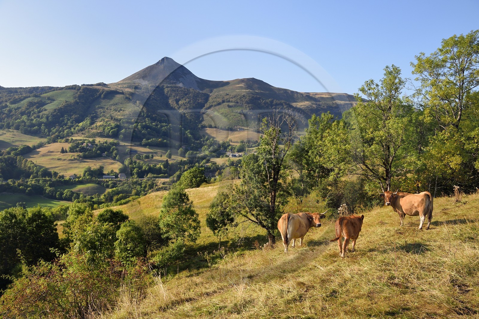 France, Cantal (15), Parc Naturel Régional des Volcans d'Auvergne, Saint-Jacques-des-Blats sur le chemin de Saint-Jacques de Compostelle par la Via Arverna, le Puy Griou