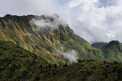 Caribbean, Dominica Island, Castle Bruce, Morne Trois Pitons National Park listed as World heritage by UNESCO, the tropical forest around the Boiling Lake whose vapors can be seen