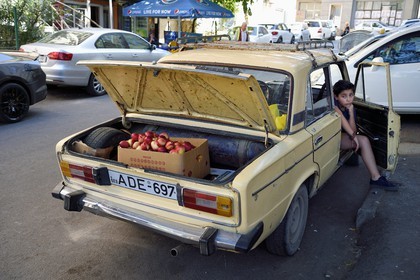 Georgia, Tbilisi, Merab Kostava street, unofficial apple seller