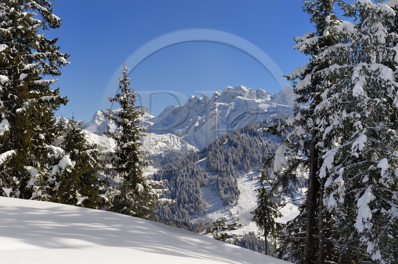 France, Haute Savoie, Morzine, the valley of Aulps, massif of Chablais, ski slopes of the Portes du Soleil,