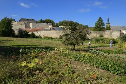 France, Moselle, Rodemack, labelled Les Plus Beaux Villages de France (The Most Beautiful Villages of France), couple cultivating his garden outside the walls, the remains of the castle in the background