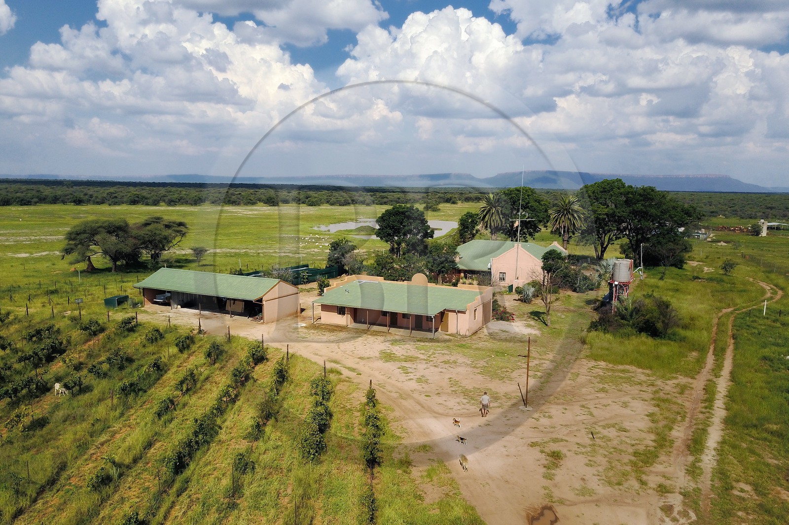 Namibie, r