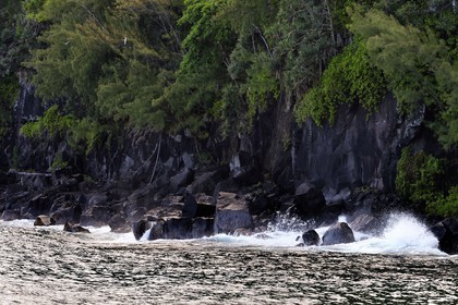 France, Ile de la Reunion, Parc national de La Réunion, classé Patrimoine Mondial de l'UNESCO, Sainte-Rose, anse des Cascades, Paille en queue ou Phaéton à bec jaune (Phaethon lepturus) volant au dessus des récifs