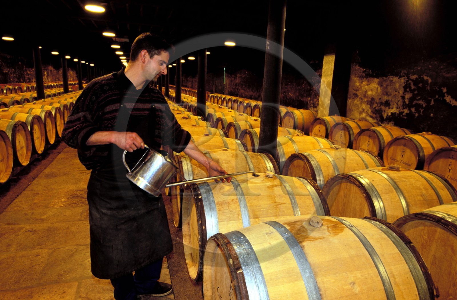 France, Saône-et-Loire (71), Romanèche-Thorins, établissement Duboeuf caves du hameau en Beaujolais