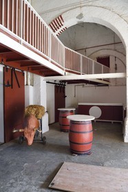 France, Pyrenees Atlantiques, Basque Country, Bayonne, the arenas, fake bull for training