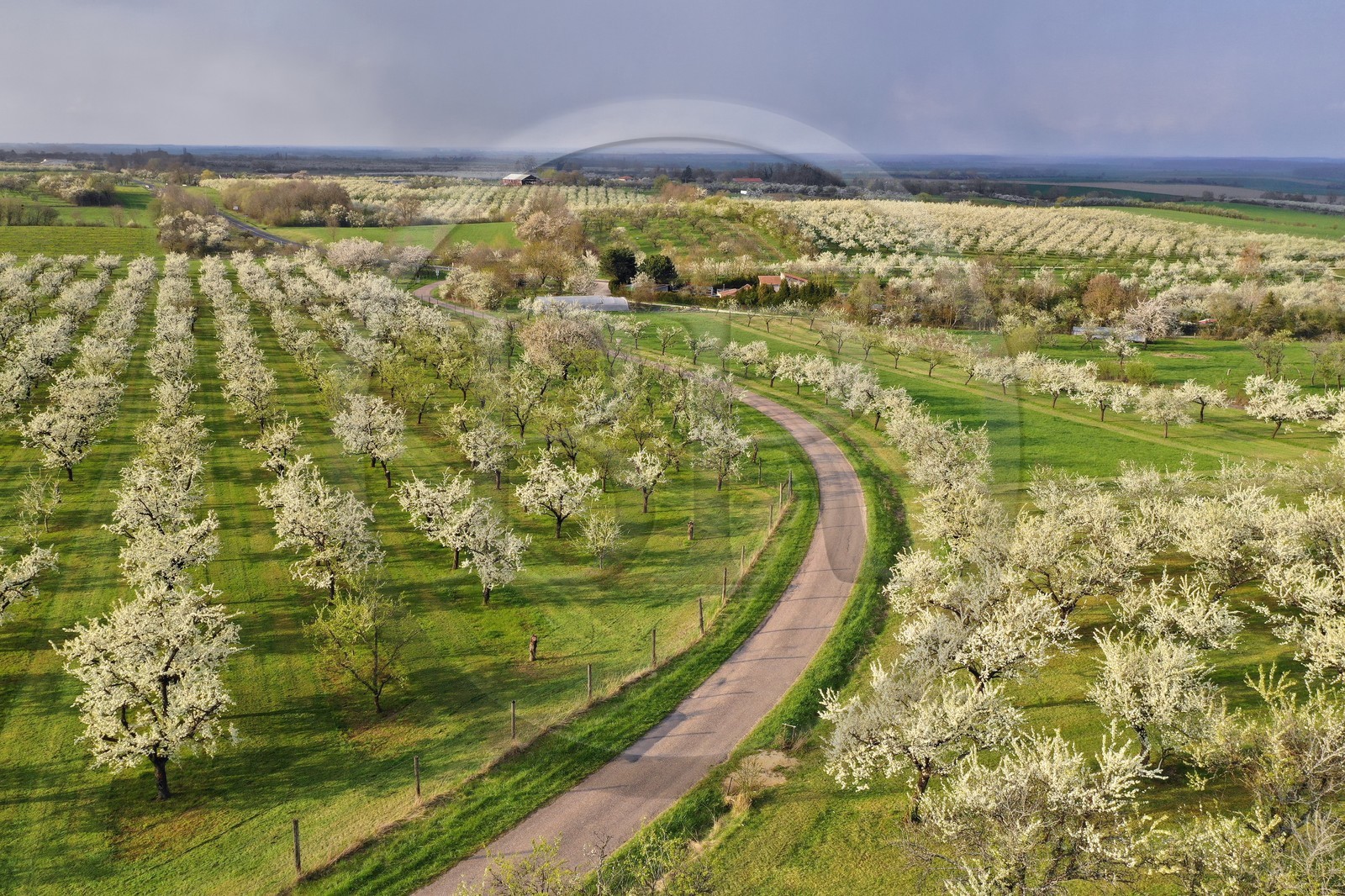 France, Meuse (55), Parc r
