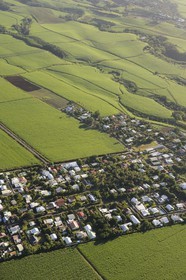 France, Reunion Island (French overseas department), north-eastern coast between Sainte Suzanne and Saint Andre, sugar cane fields (aerial view)