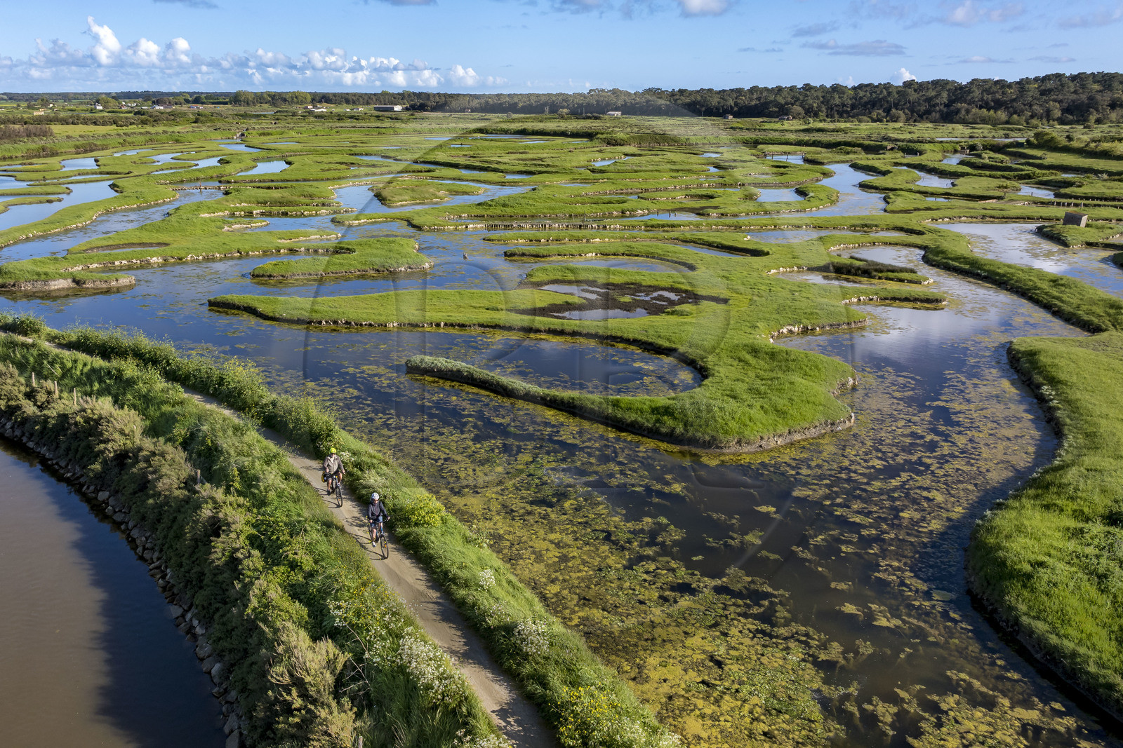 France, Vendée (85), Talmont-Saint-Hilaire, marais de la Guittière dans l'arrière pays de la Pointe du Payré, cycliste sur la piste de la véloroute Vendée Vélo Tour et Vélodyssée au passage du Cul d’Ane, marais aménagés pour la pisciculture de dorades, mulets et anguilles (vue aérienne) France, Vendée (85), Talmont-Saint-Hilaire, marais de la Guittière dans l'arrière pays de la Pointe du Payré, cycliste sur la piste de la véloroute Vendée Vélo Tour et Vélodyssée au passage du Cul d’Ane, marais aménagés pour la pisciculture de dorades, mulets et anguilles (vue aérienne)