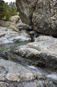 France, Haute Corse, Vivario, hiking on the GR 20, between Onda refuge and Vizzavona, Vizzavona forest, Englishmen cascades, waterfalls group in the Agnone valley
