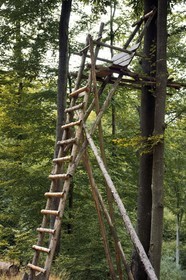 France, Bas Rhin, Northern Vosges Regional Natural Park, Obersteinbach, hunting watchtower called hochsitz