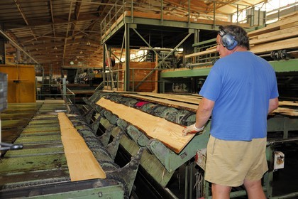 France, Moselle, Abreschviller Sciages sawmill