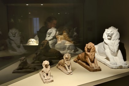 France, Haut Rhin, Colmar, Museum and birth house of Bartholdi, projects for the Lion de Belfort