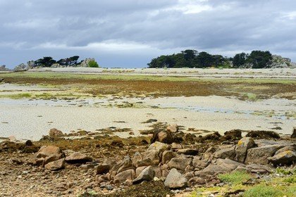 France, Cotes-d'Armor, Cote d'Ajoncs, Penvenan, beach of Bugueles on Banalec  island at low tide and the island of Enez Illec in the background