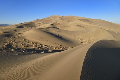 Iran, Province de Yazd, désert du Dasht-e Kavir, Moghestan, massif dunaire dont la plus haute dune atteint les 200 mètres