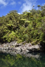 France, Ile de la Reunion, Parc National de la Réunion classé Patrimoine Mondial de l'UNESCO, La Plaine des Palmistes, forêt de Bébour, sentier de randonnée Cassé de Takamaka, Bassin des Hirondelles