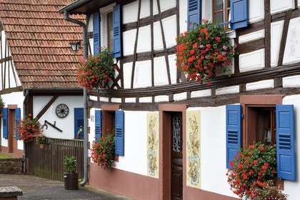 France, Bas Rhin, Northern Vosges Regional Natural Park, Obersteinbach, traditional half-timbered house in the main street