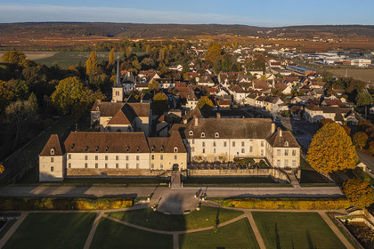 France, Côte-d'Or (21), Paysage culturel des climats de Bourgogne classés Patrimoine Mondial de l'UNESCO, Route des Grands Crus, Gilly-les-Citeaux, le Chateau de Gilly, hotel de luxe et restaurant, les vignobles en arrière plan (vue aérienne)