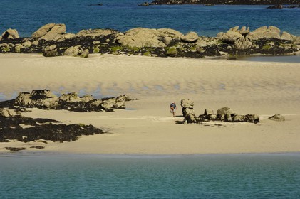 France, Manche, Iles Chausey, shrimping at low tide