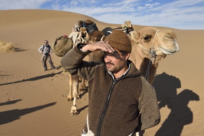Iran, Isfahan province, Dasht-e Kavir desert, Mesr in Khur and Biabanak County, camel driver and camels in the desert