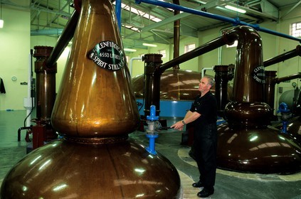 United Kingdom, Scotland, Moray, Dufftown, Glenfiddich distillery, traditional copper stills for the double distillation of whisky