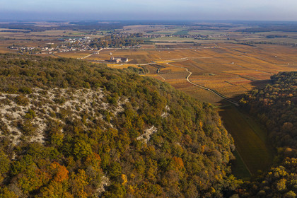 France, Côte-d'Or (21), Paysage culturel des climats de Bourgogne classés Patrimoine Mondial de l'UNESCO, Vougeot, Route des Grands Crus, vue sur la Combe d'Orveaux et le chateau du Clos de Vougeot entouré de vignoble dans les climats en arrière plan (vue aérienne)