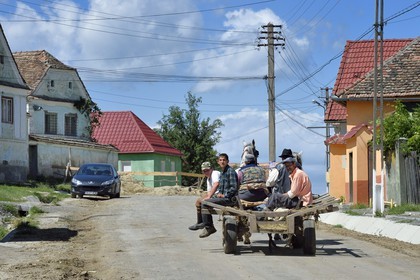 Roumanie, Transylvanie, région de Sibiu, chariot tracté par un cheval dans le village de Chirpar