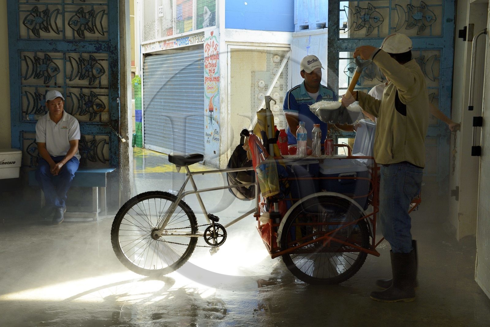 Panama, Panama City, quartier de Santa Ana, le marché aux poisson (Mercado de Mariscos), chargement de glace dans le triporteur d'un vendeur ambulant