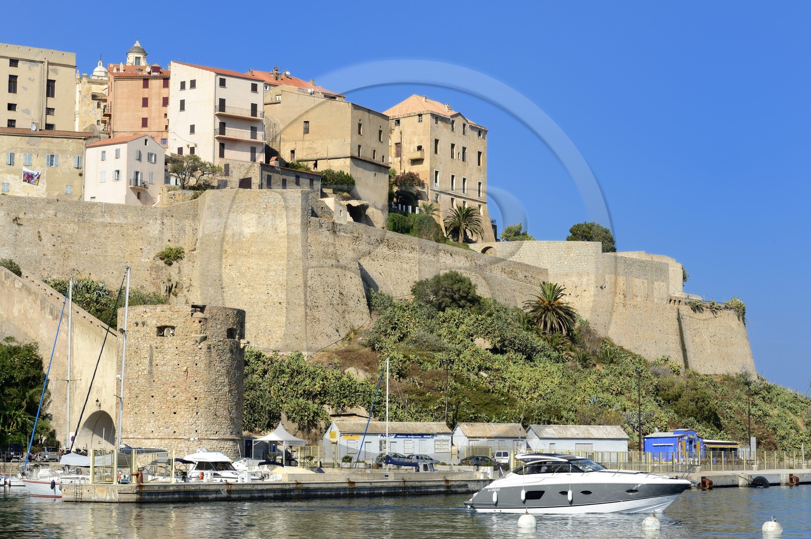 France, Haute-Corse (2B), Calvi