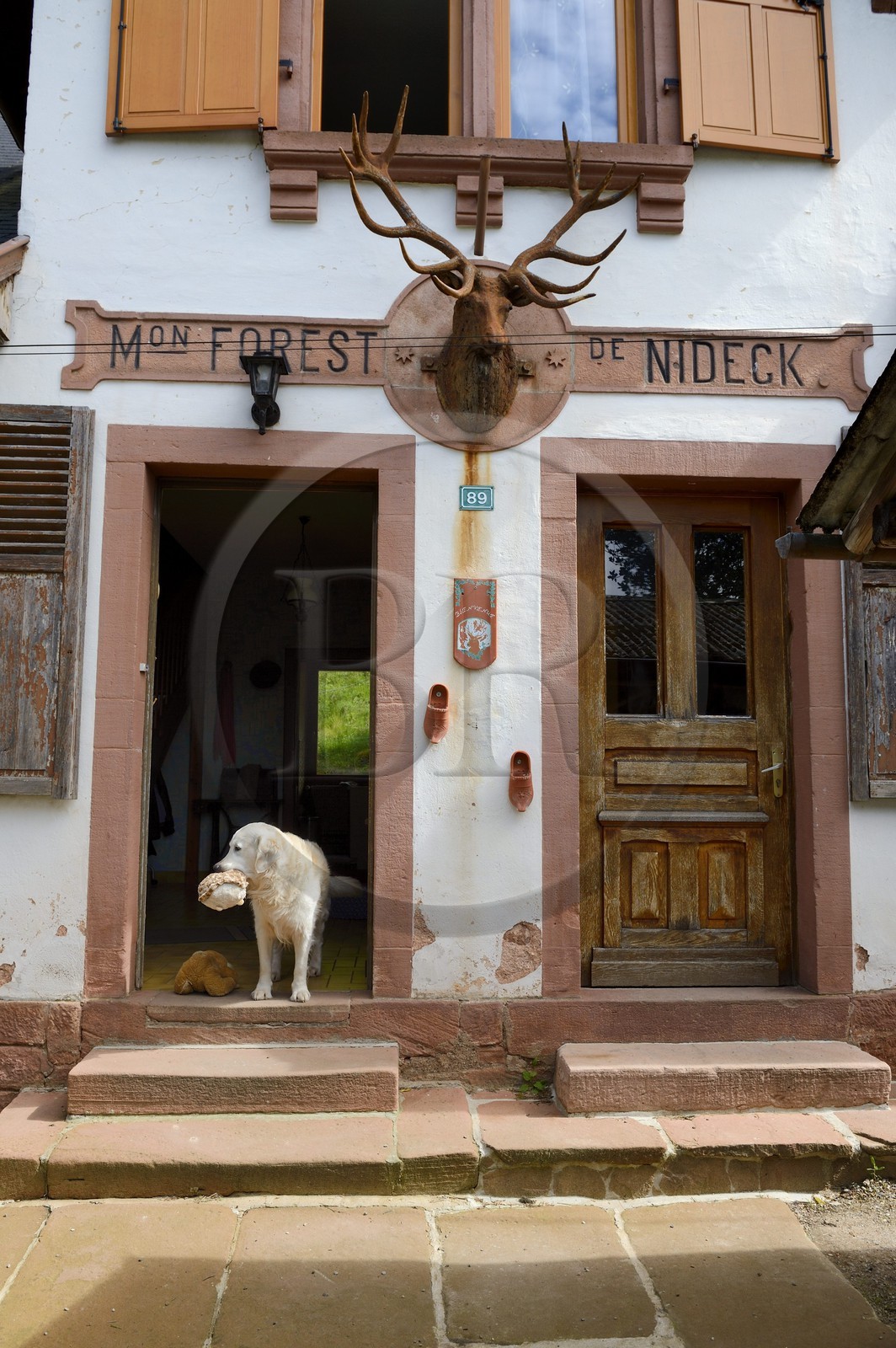 France, Bas-Rhin (67), entre Wangenbourg-Engenthal et Oberhaslach, la maison forestière du Nideck