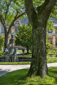 France, Seine-et-Marne, Fontainebleau, castle of Fontainebleau listed as World Heritage by UNESCO, the fountain of Diana in the center of the garden of Diana