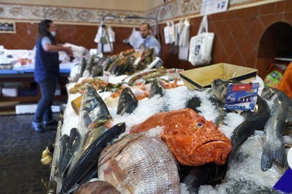 France, Var (83), Saint-Tropez, marché au poissons, rascasse sur l'étal