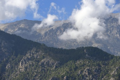 France, Haute-Corse (2B), Vivario, les sommets à l'ouest de la commune