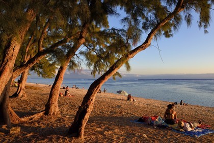 France, île de la Réunion, la Cote Ouest, plage du lagon de Saint-Gilles-Les-Bains à l'Ermitage-les-Bains, à l'ombre des filaos