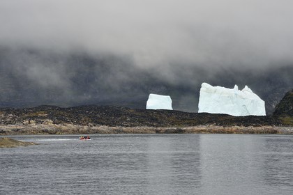 Groenland, cote ouest, Ile de Disko, baie du village de Qeqertarsuaq, icebergs dans la brume