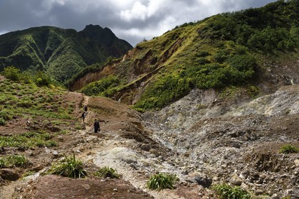 Caribbean, Dominica Island, Castle Bruce, Morne Trois Pitons National Park listed as World heritage by UNESCO, Valley of Desolation, hike on the trail to Boiling Lake