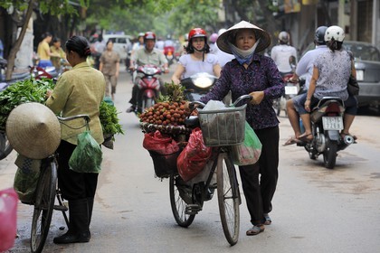 Vietnam, Hanoï, vieille ville, marchandes de quatre saisons à vélo