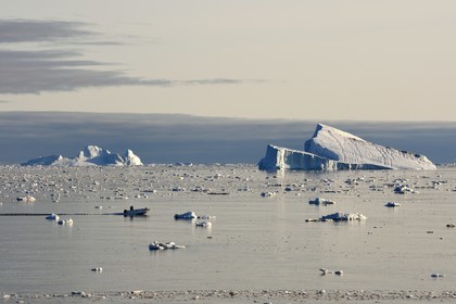 Groenland, cote ouest, hors-bord entouré d'icebergs dans la baie de Disko au large d'Ilulissat