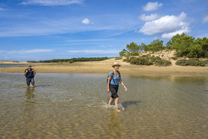 France, Vendée (85), Talmont Saint Hilaire, la Pointe du Payré, crossing of the mouth of the Payré river at low tide by hikers
