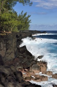 France, Ile de la Reunion, Saint-Philippe, Mare-Longue, roches basaltiques issue d'une coulée de lave en bordure de l'Océan Indien au lieu dit de la Mer Cassée