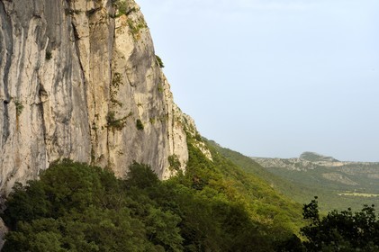 France, Var, Plan d'Aups Sainte Baume, Sainte-Baume Regional Nature Park, Sainte-Baume Massif, the 300m cliff directly above Saint-Pilon overlooks the original forest