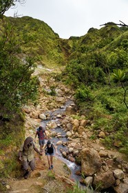 Caribbean, Dominica Island, Castle Bruce, Morne Trois Pitons National Park listed as World heritage by UNESCO, Valley of Desolation, hikers crossing a river of hot springs, whose unique color is due to the presence of calcium, carbon, sulfur and iron, on the trail leading to Boiling Lake