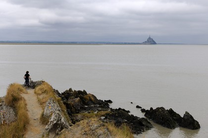 France, Manche, the Bay of Mont Saint Michel and the Mount seen from Groin du Sud