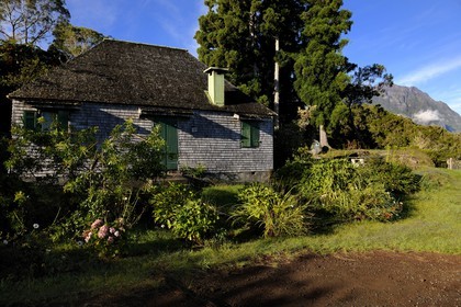 France, île de la Réunion, forêt de Bélouve, gîte de Bélouve