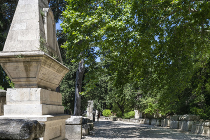 France, Bouches-du-Rhône (13), Arles, les Alyscamps, site classé Patrimoine Mondial de l'UNESCO, nécropole païenne puis chrétienne de l'époque romaine au Moyen Age, comprenant de très nombreux sarcophages