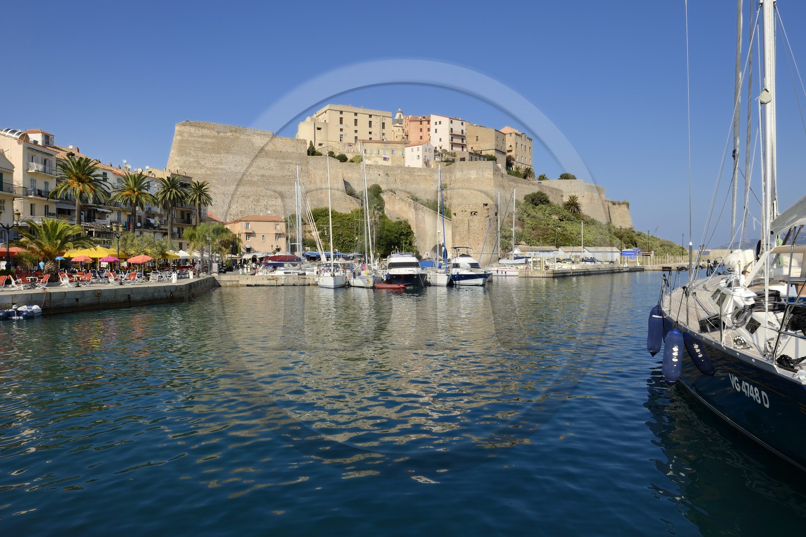 France, Haute-Corse (2B), Calvi, le vieux port dominé par la citadelle