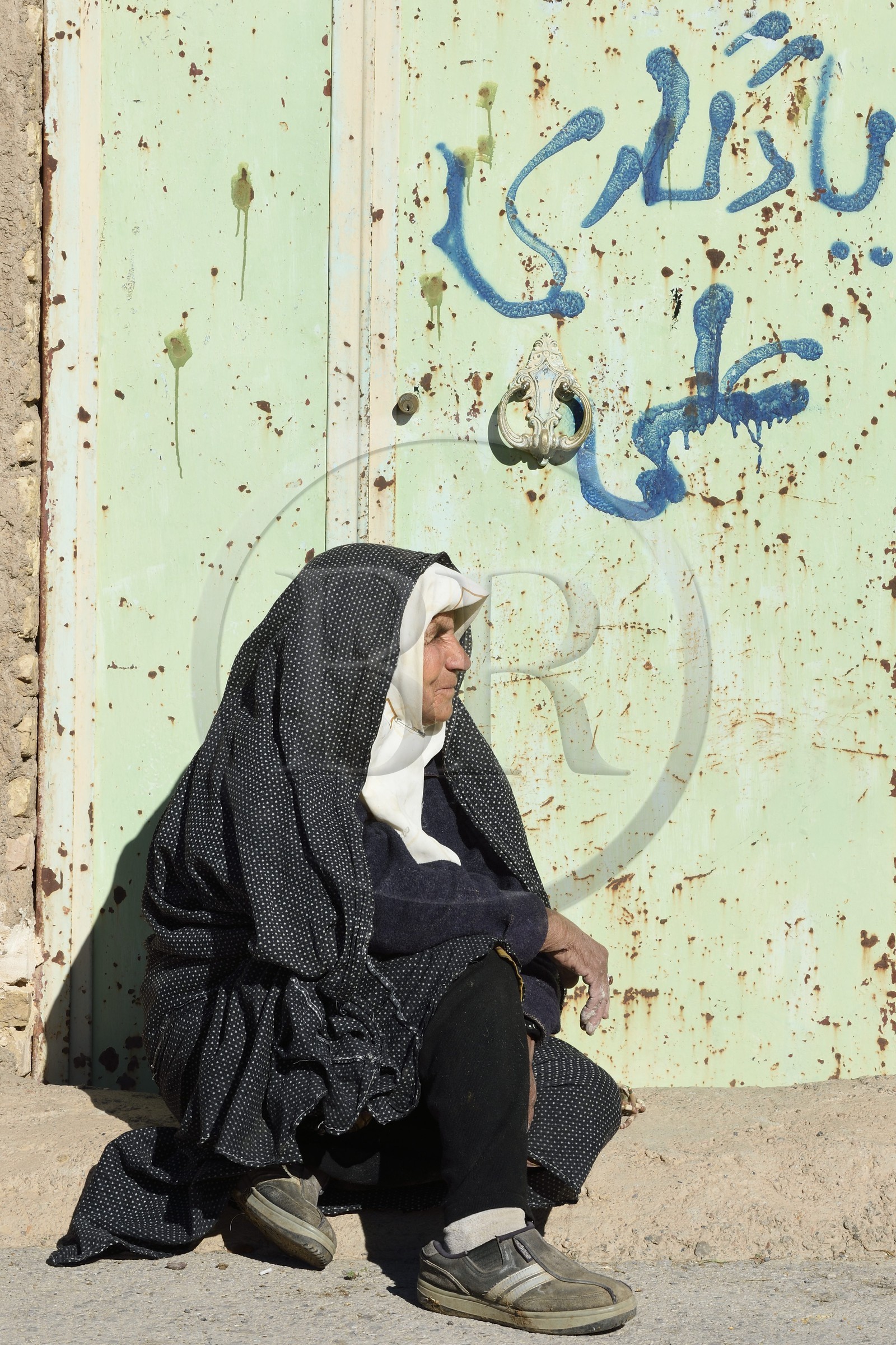 Iran, Yazd province, Dasht-e Kavir desert, Moghestan, village woman, Mariam