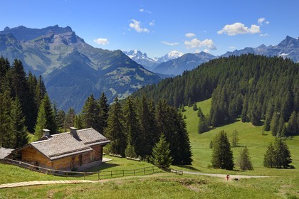 Switzerland, Canton of Vaud, Villars-sur-Ollon, hiker at Col de Soud