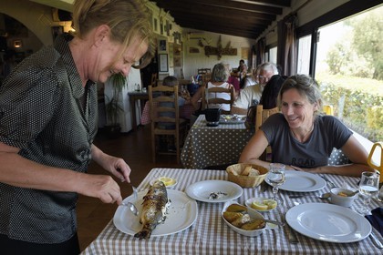 France, Bouches-du-Rhône (13), Parc naturel régional de Camargue, restaurant le Mazet du Vaccarès